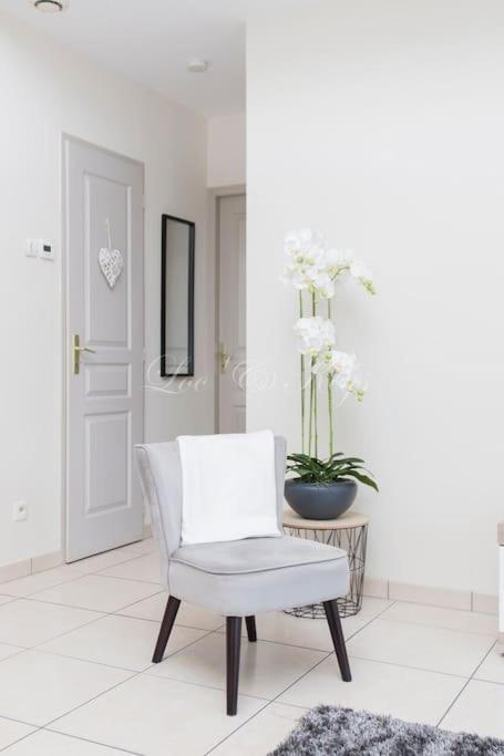 Ravissante Maison Cosy 4* Biscarrosse Proche Lac Kültér fotó